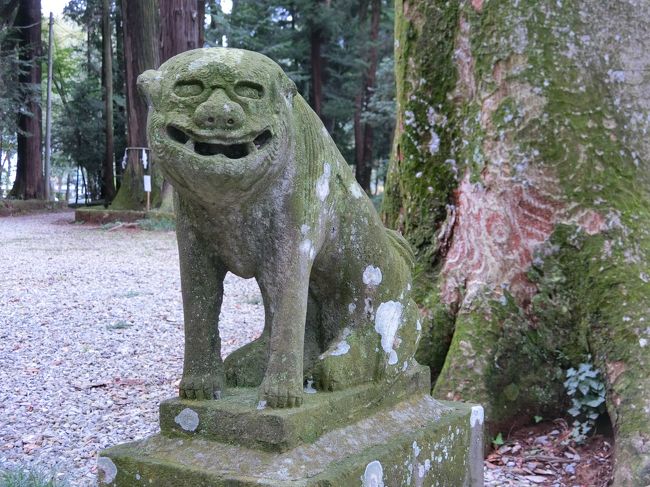 暑さも和らいできたので、日光街道歩きを再開しました。今回は間々田から小山まで、寄り道含めて約15kmです。<br />ちょうどお彼岸だったので、街道沿いのお寺にはお墓詣りに来ている人たちが多かったです。<br /><br />参考：<br />宇都宮国道事務所　日光街道御徒マップ<br />http://www.ktr.mlit.go.jp/utunomiya/utunomiya_nikkomap001.html