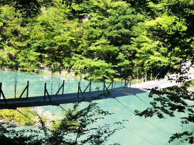 エメラルドグリーンの美しい湖(チンダル湖)と夢の吊橋の写真を撮りたい！<br />と急に思い立って3連休中日に行くことに(^▽^)/<br />残念ながら前日までの雨の影響で、おそらく本当に綺麗な色ではなかったかもしれません。<br />それでも、とてもきれい☆でした。