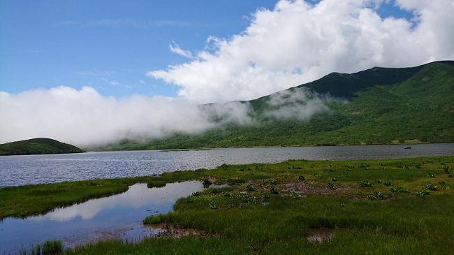 世界遺産の大自然を楽しむため３泊４日で知床に行きました。<br />まずは、定番の知床５湖ツアー。ツアーに入らないと行けません。ガイドが丁寧に案内してくれます。<br />熊に遭遇する可能性もあります。私たちは遠くわずかに見えるところに熊を見ました。<br />次いで、羅臼湖トレッキング。これは、手付かずの自然の中をガイドとトレッキングです。ガイド無しでは<br />行けないところで、大自然を楽しめました。ゴールは羅臼湖。<br />最後はやはり定番の知床クルーズ。知床半島の切り立った崖に沿ってクルーズです。<br />所どころ滝も見え、十分に楽しめます。<br /><br />