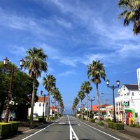 南房総でアジフライの旅