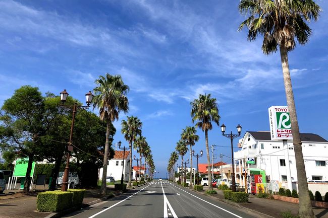 千葉への旅行は何度か行っているけど、南房総は行ったことがなく…<br /><br />でも遠いしレンタカー借りるのも高いしな、、と地図を見ていたら、アクアラインより南の地点にフェリー航路があるのを発見(このときまでフェリーがあるのを知らなかった)<br /><br />自宅からの料金や時間を調べたら電車で行くのと大差なく、むしろフェリーのほうが微妙に料金が安かったので、このルートで行くことに決定<br /><br /><br />せっかく南房総に行くなら美味しいお魚料理を食べたくて、アジフライが食べられる夕食プランで予約<br />翌日は館山を散歩しつつ鋸山を観光して、アクアラインで帰ってきました<br /><br /><br />9/16(日)久里浜からフェリーで浜金谷へ(航路40分)<br /> 内房線で岩井駅に移動して民宿にチェックイン<br /> <br />9/17(月)岩井駅から南下して館山へ<br /> 街の雰囲気を楽しんだら浜金谷まで戻って鋸山へ<br /> 鋸山のあと木更津に移動してアクアラインを通る高速バスで帰路<br />