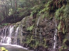 箱根・湯坂路、湿生花園・石垣山をぶらり