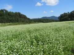 2018 奈良県桜井市笠のそば畑