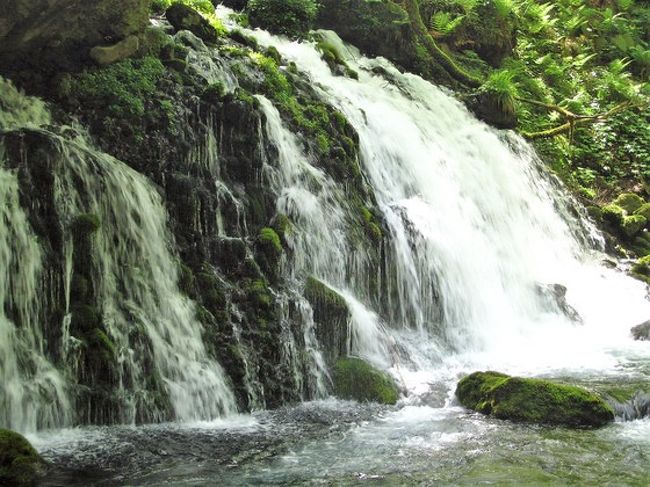 風薫る五月。心洗われたくて山形は酒田、秋田は鳥海山方面に旅に出た時のお話です。<br /><br />毎度のことながら旅は宿直勤務明けから始まります。<br />酒田でマグロと日和山公園からの夕陽を堪能した翌日には、二度目の訪問となった鳥海山の麓の元滝伏流水で心洗れ、たぶん再訪であろう鳥海山の鉾立からの絶景に感動！<br /><br />また明日から頑張れる自分になれました。<br /><br />　　　　※写真は紛失してしまったので私のブログからコピーしています。<br /><br /><br />