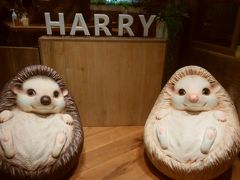 ハリネズミカフェ HARRY