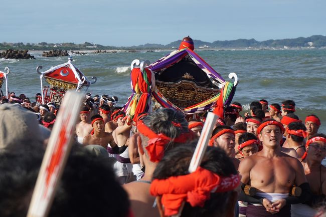 　大原はだか祭は、大原市内の大原、東海、浪花の3地区にある18社の神社が合同で行う祭り。どこか特定の神社の祭りではないのも面白いところ。それぞれの神社から各1～3基の神輿、計18基の神輿が参加し、大原漁港で五穀豊穣、大漁祈願を祈った後、いよいよ祭りの華である汐ふみへ。 <br />神輿を担いだ上半身が裸の若い衆が砂浜の海岸から、波しぶきをものともせず海に入って行くと。。今度は海の中で神輿を何度も高く掲げたり、何度も練って、これは勇壮。思わずこちらも胸が熱くなるような光景でした。そのうえ、ちょうど汐ふみの頃から日が差してきたこともあって、筋肉隆々の男たちも眩しい美しさ。思う存分にシャッターチャンスもあって、カメラマンにはこれ以上ない条件だったと思います。帰りの電車では、海に入ったんでしょうね。靴がびしょ濡れになった人も何人か見かけましたが、その気持ちとってもよく分かります。<br /><br />　なお、祭りに先立って、房総の小江戸と呼ばれた大喜多の街歩きも加えてみましたが、これも本多忠勝の封じられた大喜多城とか。少し新鮮な見どころもあって楽しめる。いすみ鉄道の鮮やかな黄色の車体もなかなか印象的でした。<br />