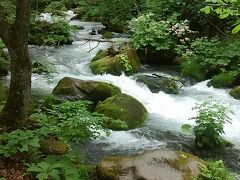 熊に遭遇！生きて帰れた青森旅。