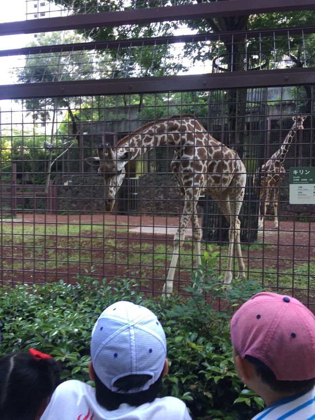 家族と、両親と、無料の恩賜上野動物園と旧岩崎邸庭園へ。