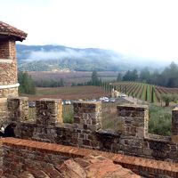 サンフランシスコでの家族の再会