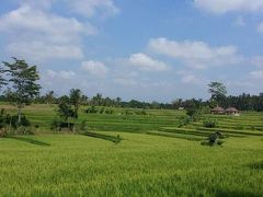 2度目の1人旅 2014 ~One's trip to Ubud~ ٩( ᐛ )و٩( ᐖ )و