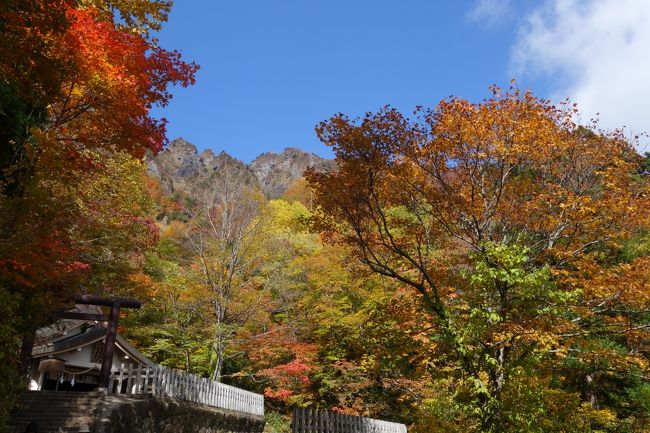 友達と二人で長野県ドライブ。<br />戸隠神社を参拝し、善光寺もお参りしました。<br />天気が良く紅葉が綺麗で、新蕎麦も堪能し、秋の信州を楽しむことができました。<br />