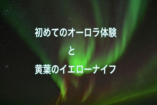 【いざない】<br />一度は(死ぬまでに)オーロラを見たいという声はよく聞かれます。僕も<br />数年以内には見て見たいという衝動は以前から強かった。オーロラはしばしば雪景色とともに紹介されているが、カナダのイエローナイフでは8月下旬から9月下旬頃にかけても全く遜色のないオーロラを鑑賞することができるという情報は、ネットやオーロラビレッジのホームページでゲットしていた。以前は3月の少し気温が高くなてきた時期に行こうかなと考えていたことが多かったが、9月前後のオーロラが次の点でとてもすぐれているということがわかった。1)気温が冷え込んでも氷点下5度くらいなので普段の冬山登山の服装で十分である。 2)零度程度の気温なら、カメラの細かいボタンを素手で操作できる。(実際、手袋を着用すると操作がしにくい。また暗闇で操作をするので、手探りも大切で、指先感覚が必要であった。撮影時にライトで照らすのは周囲の写真撮影中の方々に迷惑になることがあるのでライト使用は最小限にとどめ、かつライトも前面にシールを貼って照度を落として使用することが望ましいため、暗い中での作業では手袋を脱ぐことが必要であった) 3)零度程度の気温であれば、始終屋外で過ごしても耐えられるにで、オーロラ観察だけでなく、シャッターチャンスをゲットしたりするのも有利であり、流星や人工衛星にも遭遇するチャンスが高まった。4)カメラ機材にとっても低温ストレスが小さい。 5)湖に反映するオーロラを見ることができ、かつ写真に収めることもできた。そういうわけで急速に9月にオーロラを見に行くマインドが強くなってきた。<br />【計画】<br />・イエローナイフはオーロラ観察ではかなり有名ですが、初めての体験でもあり、サポート体制が整っている方が良いと判断し、日本語でのサービスが<br />通常であるオーロラビレッジを利用することにした。パケージツアーは<br />3泊を基本としていますが、しっかりオーロラを鑑賞することができることを最優先とし、5連泊として、延泊で申し込んだ。<br />・イエローナイフまでのフライトの往復は、エアカナダとした。全日空も<br />考えたが、タイムテーブルや乗継のことを考えるとエアカナダが有利であった。また航空券も全日空では、日本からイエローナイフまでの航空券をWeb予約購入ができないことや、バンクーバーからイエローナイフまでの航空券をエアカナダで別途購入すると、エアカナダで通して購入するよりも<br />高くつくことも理由であった。<br />・航空券の購入は3月には済ませた。最終日がほぼ不眠状態でのイエローナイフの出発になるため、機内で休めることを期待し、少し贅沢してプレミアムエコノミーとした。<br />【宿泊】<br />申し込む時に、グレード別にホテルかモーテルを選択できるが、一番安い<br />モーテルタイプにした。大抵はモーテルタイプを選択するとイエロービレッジの隣に立っているDiscovery Inn というモーテルになるようです。<br />エレベーターがないという不便さが荷物重量によっては起こりますが<br />3回までしかないのでたいしたことはないでしょう。モーテルには簡易キッチンもあり、換気扇もしっかりついているので、自炊も可能です。日本人が結構利用するので、スタッフはフレンドリーですが日本語は話せないようです。<br />【オーロラツアー】<br />・毎晩21:40にオーロラビレッジのバスがお迎えに来ます。モーテルのロビーに待っているとスタッフが迎えに参ります。何人もの日本人が(外国人も混じっている)待機していました。<br />・バスに乗車して、ホテルピックアップをしながら一路オーロラビレッジへ<br />約30分のドライブで向かいます。イエローナイフの北東30kmくらいの場所です。<br />・バスから下車したら、日によって違いますが、泊まっているホテルごとに<br />二つに分かれることもありますが、大抵は一緒に人とのティーピーという<br />先住民の住居を形取ったテントに向かいます。テントは17番くらいまであり、日によって使用するTPが違います。全員日本人同士です。初めてのゲストは、ビレッジ内の簡単な説明を日本語で受けますが、2回目以降のゲストは自由行動です。TP内にはフリードリンクが用意され、薪木暖炉が置かれています。テーブルと椅子が置かれており、団欒することもできます。<br />・ビレッジ内には、5つの丘があって、どこからでもオーロラを鑑賞でき<br />写真撮影もできます。また湖がビレッジ内の中央にあり、その湖岸からも<br />鑑賞できます。ギフトセンター(売店・インフォーメンション)や食堂もあります。僕は、始終オーロラを追いかけていたので、食堂利用は皆無でした。ギフトセンターでは、オーロラの90分延長チケットを購入できます。翌朝が早朝フライトでなければ、延長チケットは滞在期間内有効です。早朝フライトのゲストは最終日は延長できません。<br />・オーロラ観察は概ね オーロラビレッジ到着の22:30前から集合の午前1:50まで3時間はありますが、延長チケットにより午前3時20分まで延長できます。(9月当時は)<br />・帰りは、たいていはは往路と同じグループで 2時ころ出発し、各ホテルに送迎です。遅くても各宿泊施設のスタッフは対応してくれます。<br /><br /><br /><br />