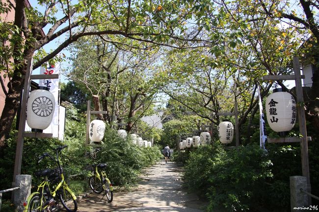 お彼岸の３連休最終日、天気も良いのでいつもの鎌倉へ花散歩に出掛けました。<br /><br />この日のコースは、<br />本覚寺→大巧寺→鶴岡八幡宮→宝戒寺→寿福寺→英勝寺→海蔵寺です。<br /><br />表紙の写真は、宝戒寺の白萩の咲く参道です。