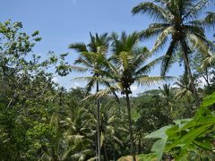 2018夏休みin Bali①　ライステラスでハイジになった