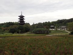 たまには車で／吉備路の寺社参拝と奥津温泉