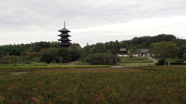 そもそもは今夏の西日本豪雨災害で、岡山県の宿泊施設のキャンセルが相次いでいるというニュースを聞いたのが始まり<br />対策として、県が旅行サイトを通じてクーポン券も配布するとのこと…同じ西日本在住で、あの時の大雨も同様に体験した者の1人として、ならこんな時こそ行ってみようと(^^ゞ<br />宿泊地に決めたのはまだ未体験の奥津温泉、中でもぬる湯好きには最高の掛け流し温泉が楽しめるお宿が営業を再開したと聞いて迷わずそちらに決定(^o^)<br />で、最初は単に温泉入って帰って来る予定やってんけど、出発日が近づいて再度ルートを見直していたら、丁度途中に素敵な神社仏閣が色々あるのに、これを寄らずに素通りするのは勿体ないやん(*^。^*)…ということになって、こんな行程になった次第だよん(^_^)v<br />結果的に狙っていたクーポン券はゲットできんかったけど(笑)、幸い別のクーポンを見つけ、少しだけお得にも宿泊できたし、社寺にも参拝できて大満足、何よりも運転嫌いなのに頑張ってくれた夫に感謝しつつのプチ旅1泊2日、毎度ながらほぼ備忘録ですが、少しでもどなたかの参考になれば幸いです(*^。^*)<br /><br />宿泊 奥津温泉 池田屋河鹿園
