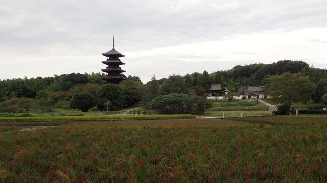 そもそもは今夏の西日本豪雨災害で、岡山県の宿泊施設のキャンセルが相次いでいるというニュースを聞いたのが始まり<br />対策として、県が旅行サイトを通じてクーポン券も配布するとのこと…同じ西日本在住で、あの時の大雨も同様に体験した者の１人として、ならこんな時こそ行ってみようと(^^ゞ<br />宿泊地に決めたのはまだ未体験の奥津温泉、中でもぬる湯好きには最高の掛け流し温泉が楽しめるお宿が営業を再開したと聞いて迷わずそちらに決定(^o^)<br />で、最初は単に温泉入って帰って来る予定やってんけど、出発日が近づいて再度ルートを見直していたら、丁度途中に素敵な神社仏閣が色々あるのに、これを寄らずに素通りするのは勿体ないやん(*^｡^*)…ということになって、こんな行程になった次第だよん(^_^)v<br />結果的に狙っていたクーポン券はゲットできんかったけど（笑）、幸い別のクーポンを見つけ、少しだけお得にも宿泊できたし、社寺にも参拝できて大満足、何よりも運転嫌いなのに頑張ってくれた夫に感謝しつつのプチ旅１泊２日、毎度ながらほぼ備忘録ですが、少しでもどなたかの参考になれば幸いです(*^｡^*)<br /><br />宿泊　奥津温泉　池田屋河鹿園