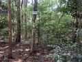 京田辺の旅行記