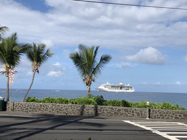 昨年初めて訪れたハワイ島　夫婦ですっかり魅了されました。<br />キラウエア火山が収束に向かい、生きてる台地をこの目で見たく<br />勢いで向かいました。<br />ささやかでもハワイ島のためになればという思いも込めて。