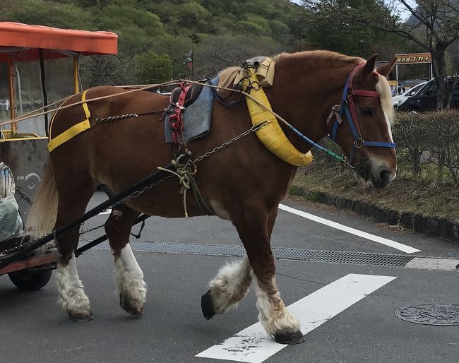 群馬・栃木１泊２日の旅［榛名湖編］