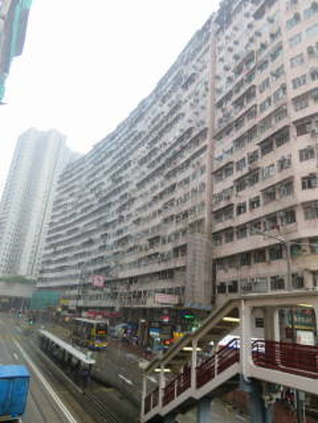 暑い香港（７）