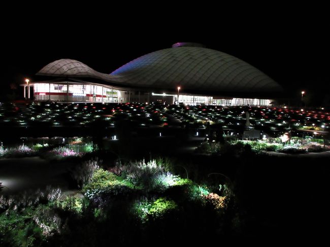 ２０１８年９月　山口ゆめ花博　２回目　夕方に入園し花の谷ゾーンを散歩・維新体験館入館