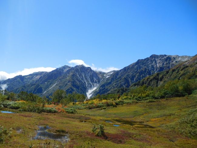 白馬には10年ぶり、立山黒部には16年ぶり、秋に行くのは初めてです。<br />9月ながら既にこの地域は紅葉になっていました。絶好の晴天の下、美しい紅葉の光景は夢の世界と言っても過言ではないほど素晴らしかったです。<br /><br />---------------------------------------------------------------<br />スケジュール<br /><br />★9月22日　自宅－（自家用車）長野IC－白馬栂池駐車場－<br />（ゴンドラ、ロープウェイ）栂池自然園観光－大町温泉郷　[大町温泉郷泊]<br />　9月23日　大町温泉郷－扇沢－（トロリーバス）黒部ダム観光－（ケーブルカー）黒部平観光－<br />　　　　　（ロープウェイ）大観峰観光－（トロリーバス）室堂観光－扇沢－更埴IC－自宅