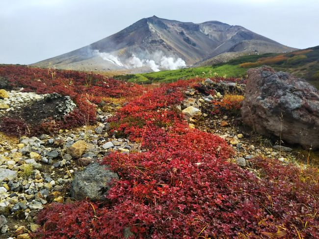 9月初めに北海道の地震が発生し訪問するのを迷いましたが、空港は発着しており停電も解消され、被災地を除いては日常を取り戻しつつあったので、予定通り一足早い紅葉を堪能してきました。<br /><br />この時期の連休北海道便は混雑するはずでしたが、機内では空席が目立ち、別の意味で地震の影響かなと思いました。<br />新千歳空港に到着しても従来の混雑はなく早々に空港も脱出でき、キャンセルが大幅に出ているのを肌で感じました。<br /><br />この時点で、空港内のレストラン街が営業してなかったこと以外、昼食のために札幌市内も走りましたが、特に直接的な地震の被害を見ることはありませんでした。<br /><br />ガス缶を調達するためにホームセンターに立ち寄った時、ガス缶購入制限を大きく掲載されていたのが唯一地震の影響を目の当たりにする光景でした。<br /><br />今回宿泊登山は荷物の準備の都合で諦め、日帰りの観光を組み入れながら、一足早い紅葉をめいいっぱい楽しみました。<br />機会があれば宿泊してみたいと思っていた美瑛の宿にも泊まることができ、振り返るとなかなか充実した5日間でした。<br /><br />