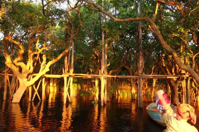 世界一周旅行21か国目はカンボジア。<br />以前から行ってみたかったアンコール・ワットです！<br />ホーチミンからシェムリアップへの移動はトラブル続きでしたが無事に到着。<br />シェムリアップにはアンコール・ワット以外にもたくさんの遺跡があって、遺跡巡りがとっても楽しかったです♪