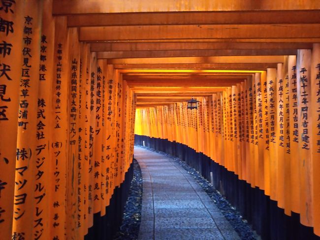 1泊2日で伊勢 奈良 京都2 奈良県の旅行記 ブログ By Akiさん フォートラベル 1泊2日で伊勢 奈良 京都2 奈良県の旅行記 ブログ By Akiさん フォートラベル
