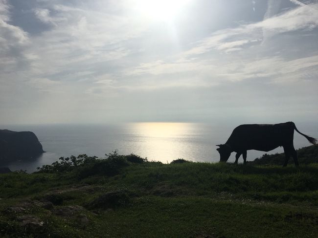 9月の3連休2回目は隠岐諸島、島前3島からなる 知夫里島(知夫村)、西ノ島(西ノ島町)、中ノ島(海士町)、へ行ってきました。日本にもまだ自然いっぱいの美しい場所があったんだなと感動でいっぱいでした。