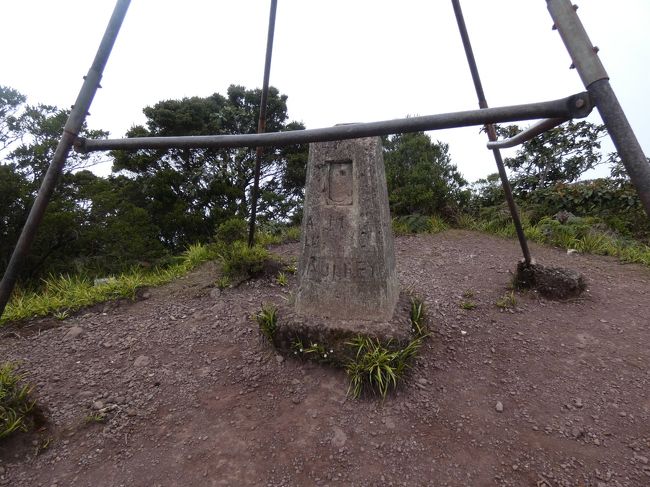 ジャマイカ唯一の世界遺産であるブルー・アンド・ジョン・クロウ・マウンテン国立公園(Blue and John Crow Mountains National Park)にあるブルー・マウンテン山(Blue Mountain Peak)の山頂までトレッキングした。この公園はジャマイカ唯一の国立公園で、面積は国土の4.5%にあたる495.2平方kmを占める。ブルー・マウンテン山脈(Blue Mountains)とジョン・クロウ山脈(John Crow Mountains)の二つの山脈から構成されている。<br /><br />ブルー・マウンテン山脈はジャマイカ島の東3分の1を占める山脈。西はセント・メアリー(St. Mary)パリッシュで島の北側に流れ出すワグウォーター川(Wag Water River)から、東は東海岸近くのセント・トーマス(St. Thomas)パリッシュとポートランド(Portland)パリッシュとの境辺りまで伸びる山脈で、最高峰がブルー・マウンテン山で標高2256m。山々が青みがかって見える霧で覆われることから名付けられた。コーヒーのブルーマウンテンはこの山の、標高が800mから1200mのエリアで生産されたコーヒーにのみ、その名を使用できると定められている。<br /><br />ジョン・クロウ山脈はジャマイカ島の北東岸と並行に伸びており、西をリオ・グランデ(Rio Grande)に区切られ、南東でブルー・マウンテン山脈の東端と接している。こちらの最高峰は1140mあまり。名前はヒメコンドル(Turkey vulture)のジャマイカ名。2つの山脈の接点からブルー・マウンテン山脈は西北西に、ジョン・クロウ山脈は北西に延びて東南東を指す矢印を構成するイメージ。<br /><br />この国立公園はそのうちの約半分の262.51平方㎞が、15年に自然と文化の複合遺産として世界遺産に指定された。自然遺産としての評価は多種多様の植物相と動物相。まずは、暖かく、雨の恵みも豊富なジャマイカ島の環境のおかげで数多くの開花植物が存在している。高さと共に植生が変わり、例えばブルー・マウンテンの標高1,000m以上のエリアには、モル・リッジ森林と云うアナナス科や絶滅危惧樹種からなる森林が広がり、標高2,000m以上のエリアにはシダや小さい蘭などの着生植物が自生している。その数、花だけでも1350種あり、うちジャマイカ固有が約294種、そしてこの地にしか自生していない種類が87種もあると云われている。その中にはスクヘフレラ・ステアルニイ(Schefflera stearnii)を始めとする絶滅危惧種も含まれており、このジャマイカの世界遺産の山岳ははこういった植物の貴重な保護地区でもある。蘭は固有種が60種ある。また、風によって曲がった高山屈曲林(Elfin wood)や広葉樹林が高地に、乾いた低木林や森林地帯が低地に広がる。<br /><br />植物だけでなく、様々な種類の動物たちの生息地でもある。特にジャマイカ島は、大陸から孤立した島であることから、固有種や絶滅危惧種が多く生息している。例えばジャマイカクロムクドリモドキ(Jamaican Blackbird)やエリマキボウシインコ(Yellow-billed Parrot)と云った鳥類や、エレウテロダクテュルス・オルクッティ(Eleutherodactylus orcutti)とかジャマイカン・ピーク・フロッグ(Jamaican Peak Frog)と云うカエルなど。また世界中から多くの渡り鳥がやってくるのも特徴で、チャカブリアメリカムシクイ(Swainson’s Warbler)やタイランチョウ(Tyrant flycatcher)などの貴重な鳥たちもこのジャマイカの世界遺産に飛来してくる。<br /><br />ここはまた、植民地時代に逃亡した奴隷、マルーンたちの文化を残した文化的遺産でもある。1655年のイングランドのジャマイカ侵攻以降、スペインからの入植者たちは逃げ出したが、その時に解放されたアフリカ系奴隷が密林へと散り、島の東部にあるブルーマウンテン山脈の北斜面や、島の西部にある入り組んだ地形のコックピット地帯(Cockpit)に、秘密の村々を形成した。1世紀半の間、この2つの地域は多くの隠れ場所があったおかげで、逃亡奴隷であるマルーンたちの反乱の後方基地となり、その後、独自の文化や山々を神聖視する宗教思想などが生まれた。このマルーン文化は今日も根付いていおり、伝統医学、舞踊、儀式などが残っている。<br /><br />今回登ったブルーマウンテン山はジャマイカ最高峰の標高2256mで、カリブ海エリアで2番目に高い(1番はドミニカ共和国のデュアルテ山(Pico Duarte)の3098m)。山上や登山道から海を望むことが出来る。晴れた日にはキューバも見えるらしいが、名前の由来になっている青い霧が発生していることが多く、見える日は少ないらしい。<br /><br />まずは朝早く、キングストンから北東10㎞にあるメイビスバンク(Mavis Bank)と云う町に移動。ここはまだセント・アンドリュー(St. Andrew)パリッシュ。この町はブルーマウンテンコーヒーの生産工場がある町として有名。メイビスバンクと云う町の名は町にあるメイビスバンク農園(Mavis Bank Estate)から来ているが、メイビスバンクはスコットランドのエジンバラ近くにある歴史的な家の名から来ている。キングストンからの道は幹線であるんだけど、狭くて穴がたくさん開いた道で大変。<br /><br />7時に予約していた車がやってきて、みんなで荷台の席に座ってセント・トーマス・パリッシュのホイットフィールド・ホール(Whitfield Hall)へ向かう。13㎞ほどの道のりだが、これはかなりの道で、1時間ほど掛かる。実際乗ってるだけで疲れる。<br /><br />8時過ぎ、ホイットフィールド・ホールからトレッキング登山が始まる。ここから約10㎞歩き、標高を約1000m上がる。しばらくは車も通れるダート道をたらたらと登る。この辺りは天気も良く、コーヒー畑や緑の山並みが美しい。1時間20分ほどでポートランドギャップ(Portland Gap)のレンジャーステーションに到着。水を補給することが出来る(帰りにはできなかった)。キャンプ場もある。帰りに払ったがここで入園料(300JM$)が必要。ここからポートランド・パリッシュに入り、完全な山道となる。頂上まで約2時間半の登り道は結構きつい。高さと共に確かに植生が変わる。レンジャーステーションを出た辺りのシダや苔はすごくいい感じ。そして12時過ぎ、予定通り4時間ほどで山頂に到着。しかし、残念ながら山頂には時々日が差したのだが、下界は全方向雲で、いったいどの方向かも分からない。キューバどころの話ではなかった。ここで、昼食を取るが、じっとすると寒くなり、みんな上着を羽織る。1時前下り始める。そう云えば山頂からちょっと下の広場の紫陽花は綺麗だった。広場には休憩所か何かを作っているようだった。後はひたすら下りるのみ。3時過ぎにレンジャーステーションまで戻りひと休みして、疲れた足を動かし、4時過ぎ、下りは3時間半掛からずにレンジャーステーションへ戻った。<br /><br />その後は、ホイットフィールド・ホールの宿屋で食事を取り、5時頃メイビスバンクへ向かい、キングストンには夜の7時頃に戻った。そう云えば、ブルーマウンテン山頂でご来光を拝むのが人気と云うことで、その場合にはこのホイットフィールド・ホールの宿屋で前泊し、夜中に出て暗い中を上がるそうだ。今回一緒に行った方の中には、前回はそれのパターンで登ったという方がおられた。残念ながら朝は雨だったそうだが、天気は朝の方がいいらしい。また、この日すれ違ったグループの中には、夕陽を山頂で見ると云う方たちもおり、我々が行った時間は下界は全く見えなかったがどうだったのだろう。しかし、上りにせよ、下りにせよ、真っ暗な中を歩くのは、私はパスだな。とりあえずジャマイカ最高峰を制覇して満足。ただし、当日から5日くらいは足のももとふくらはぎの筋肉痛に悩まされた。<br />https://www.facebook.com/media/set/?set=a.2273698586033486&amp;type=1&amp;l=08a2558a89<br /><br />以上