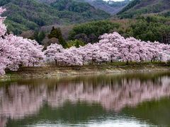 木曽/伊那/駒ヶ根/飯田ぐるり旅【2】～水面に映る桜が美しい～六道の堤