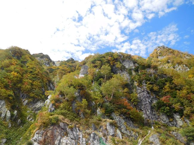 白馬には10年ぶり、立山黒部には16年ぶり、秋に行くのは初めてです。<br />9月ながら既にこの地域は紅葉になっていました。絶好の晴天の下、美しい紅葉の光景は夢の世界と言っても過言ではないほど素晴らしかったです。<br /><br />---------------------------------------------------------------<br />スケジュール<br /><br />　9月22日　自宅－（自家用車）長野IC－白馬栂池駐車場－（ゴンドラ）栂池自然園観光－大町温泉郷　[大町温泉郷泊]<br />★9月23日　大町温泉郷－扇沢－（トロリーバス）黒部ダム観光－（ケーブルカー）黒部平観光－<br />　　　　　（ロープウェイ）大観峰観光－（トロリーバス）室堂観光－扇沢－更埴IC－自宅