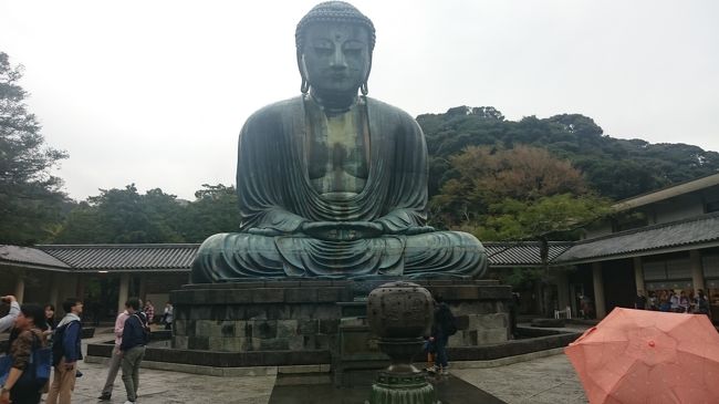 横浜アリーナに世界バレー観戦へ<br />せっかくなので久しぶりに鎌倉に立ち寄りミニ旅行(о´∀`о)