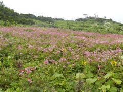 伊吹山＆養老の滝＆安土城址　歩け歩けの旅　　