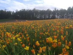 夏旅・北海道②