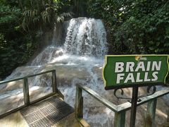 セント・アン タートル・リバー・フォールズ & ガーデン (Turtle River Falls and Gardens, St.Ann)