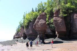 カナダ東部５州、ドライブ旅行２０１８　Day5-3（世界最大の干満差を誇るFundy BayのHopewell Rocks Park　後編）