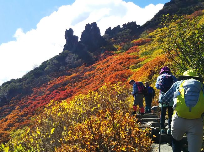 紅葉の北海道4日目の18日も層雲峡のホテルから出発です。<br />この日は、一番楽しみにしていた黒岳ー比布岳までの往復登山でした。<br />ロープウエイ乗り場に近いホテルに宿泊なので、こんな時は非常に便利です。<br /><br />晴れた空の下、ロープウェイとリフトを経由して黒岳7合目まであっという間に到着しました。<br />時間切れで行けなくならないように少々早めに登り始めました。<br /><br />同時期に何度も登っているのに、これまで見たことのないまさに見頃の黒岳北面の紅葉に感動し、写真を撮ったり眺めたりするのに足を長く止めてしまいました。<br /><br />ところが山頂は、石室方面よりどんどん雲が湧きあがっており、行く先は視界不良でそれまでの天候とは全く異なり、急変する山の天気の凄さを実感しました。<br /><br />もちろんこのまま山頂から眺める烏帽子岳方面の紅葉を見ないで去る訳にはいかないので、しばらく待機していましたが、どんどん天候は悪化して風も強くおまけに雹も降ってきて山頂は冬になってきた感じでした。<br /><br />そんな急変でもダウンを持ち合わせていたので、お目当ての紅葉が綺麗にみえるまで待機できたのですが、この天候では先を進むのは危険と判断して、早々に黒岳を下山しました。<br /><br />北面側を下山中は、これまた先ほどとは異なり穏やかな天候で晴れ間も見られたので、天候はすぐ戻るのかな引き返そうかなと後ろ髪をひかれる感じで下山しました。<br /><br />下山後は時間を余すこととなり、二度目の訪問となる浮島湿原へ向かいました。<br />晴れ間も見られ、草紅葉した綺麗な湿原巡りを楽しめました。