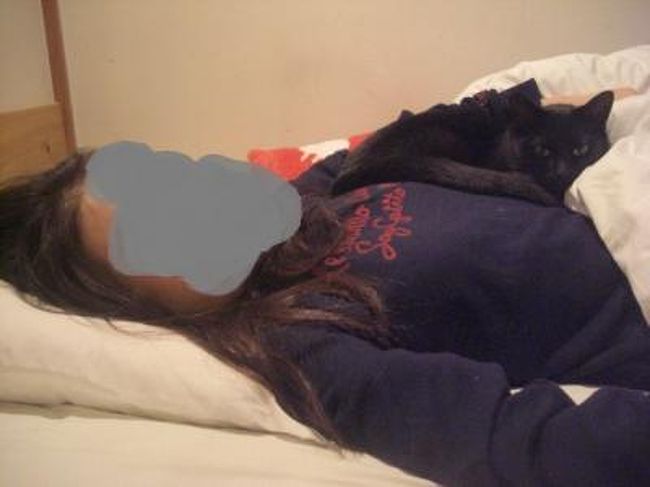 大分で猫ちゃんが添い寝してくれるオーベルゼレボーに泊まる ェ 幸せ過ぎな湯布院 湯布院 由布院温泉 大分県 の旅行記 ブログ By リリーさん フォートラベル 大分で猫ちゃんが添い寝してくれるオーベルゼレボーに泊まる ェ 幸せ過ぎな湯布院 湯布院 由布院温泉 大分県 の旅行記 ブログ By リリーさん フォートラベル