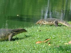 ルンビニー公園の「大トカゲ」