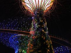 JGC修行始めました☆OKA-SINに挑戦！初めてのシンガポール【4】光のショーを楽しもう♪マリーナベイサンズの「スペクトラ」＆ガーデンズインザベイの「OCBCガーデン・ラプソディ」