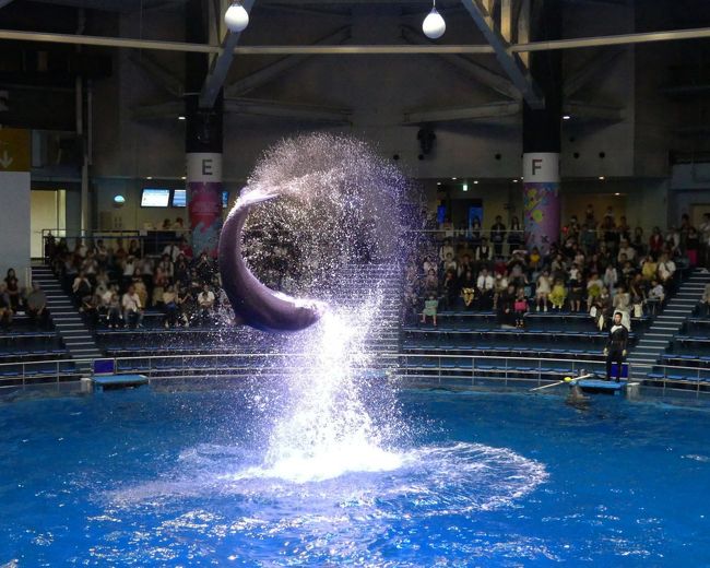 ２０１８年９月末で閉館となる東京タワー水族館へ行った後、近くの「マクセル・アクアパーク品川」へ行って、ペンギンやアシカ、そしてイルカのパフォーマンスを楽しみました。屋外でペンギンとアシカのパフォーマンスを見た後、「ザ・スタジアム」でドルフィン・パフォーマンスを堪能しました。<br /><br />旅行記作成に際しては、「マクセル・アクアパーク品川」のホームページを参考にしました。