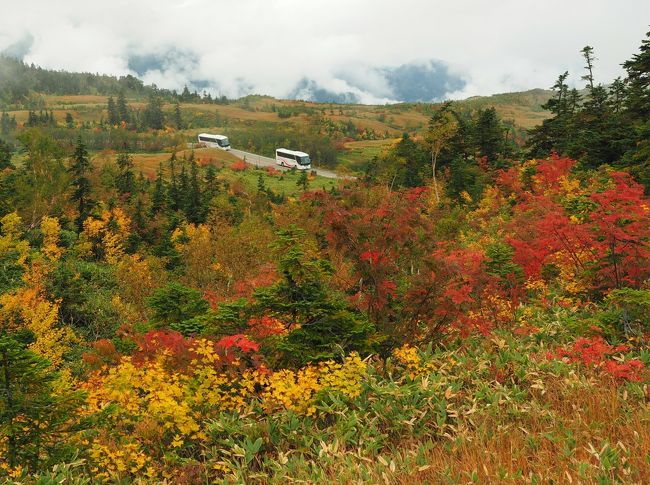 絶景の立山を満喫する山旅3泊4日　その1彩り鮮やかな紅葉のアルペンルート編