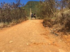 千歳発着 アラフィフ夫婦の4泊6日・3