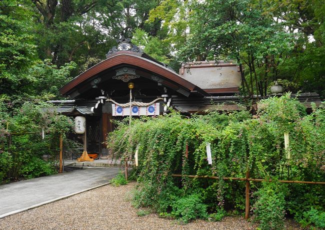 京都御朱印巡り２日目です。<br />訪れたことのない神社を巡って、有意義でした。<br />