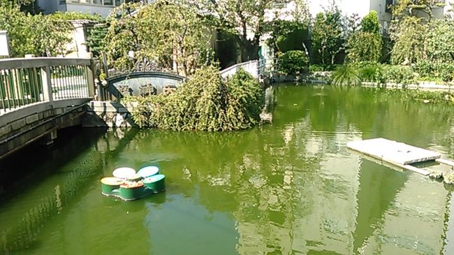 日本三大祭り天神祭の賑わいから、受験シーズンの賑わいのはざま、秋の日の大阪天満宮境内を散策します。