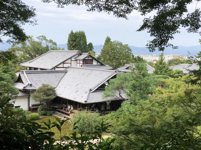 9/23(日)17時にいとこと共に、京都に住む知人と先斗町で待ち合わせ・・・<br />9月末で床が終わるので招待してくれました。<br />食事の後、自宅へ泊めて頂き、<br />9/24(祝)宿泊先を後に・・近くをぶらぶらすることに<br />で、青蓮院門跡、フォーエバー現代美術館、建仁寺へ<br />青蓮院門跡では庭でたぬきと遭遇~<br />受付の方に「たぬきがいました」と伝えると<br />「きつねはよくいますが、たぬきはめずらしい。<br />東山からおりてくるのかな」と言われました<br />それにしても、人慣れしてるのか べたっと寝そべってたけど・・・<br />祇園白川では「櫛まつり」の行列に遭遇しました。<br />建仁寺は写真撮り放題でした<br />京都までの道のり。いつもは在来線を利用しますが、<br />今回は前の予定から時間が間に合わず、新幹線を利用。<br />帰りもリッチに新幹線を利用してしまいました。<br />久々の新幹線はやっぱり早いなwww<br /><br />