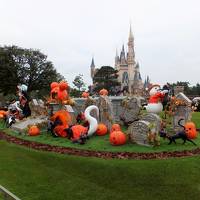 台風の中のハロウィンＴＤＲ2018　①　～ハプニング！in　ＴＤＬ編～